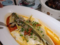 -维园悦谱·海派家常菜(乌鲁木齐南路店)