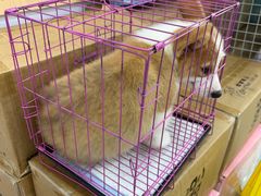 -艾贝尔宠物医院·宠保定点·超声绝育·免疫点(樱花路店)
