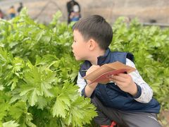 -意大利农场度假村