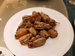 -沙龙酒家