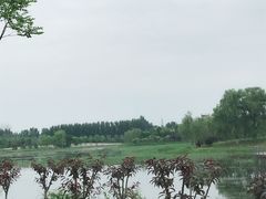 -东郊湿地公园