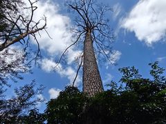 -东南悬空寺方广岩