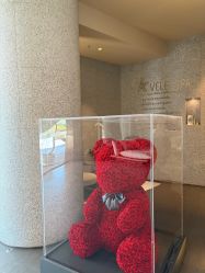 -VELEE·SPA高定疗愈会所