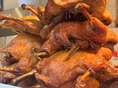 -九多肉多(王城路店)