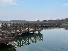 -上海海湾国家森林公园