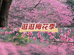 -浙江大学(紫金港校区)