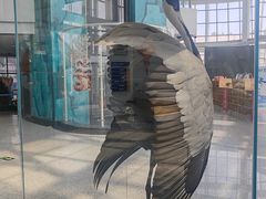 -吉林省自然博物馆