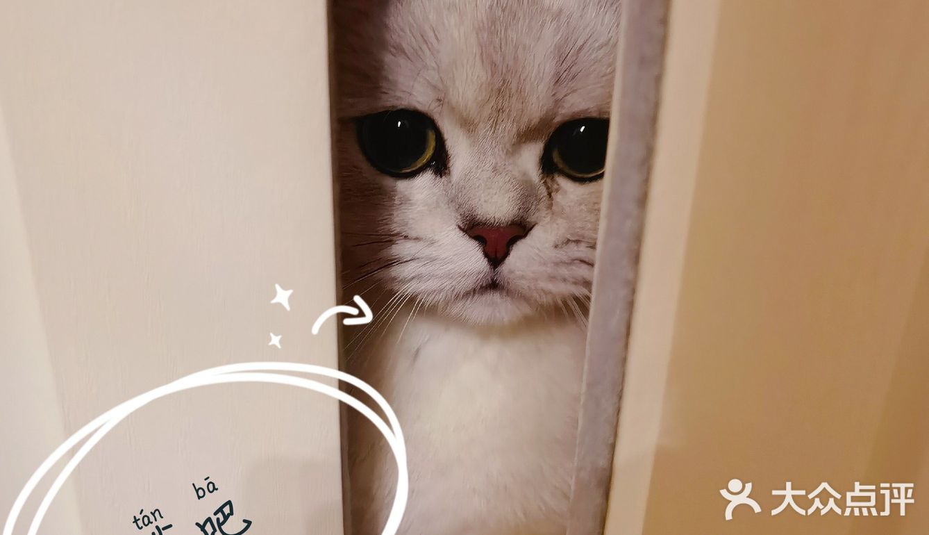 泡泡糖的日常——禁闭篇