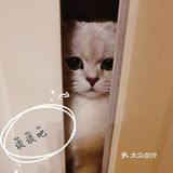 泡泡糖的日常——禁闭篇