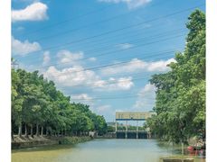 -小洲村