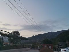 -崂山水果园农家宴(泉水鸡店)