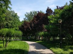 -玲珑塔公园
