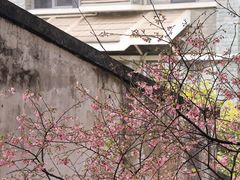 -乌山风景区