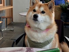 -WOKKA by艮上(中海环宇荟店)