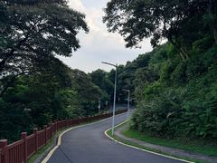 -黄埔油麻山森林公园