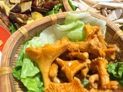 -滇野云南野生菌餐厅(陕西南路店)