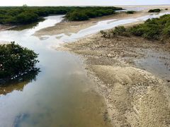 -北海金海湾红树林生态旅游区