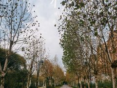 -大渡口区义渡公园