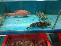 -壹只卤鹅·潮汕菜(莲塘店)