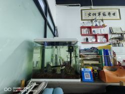 -柯宏＆雅婷塑形钢管舞蹈