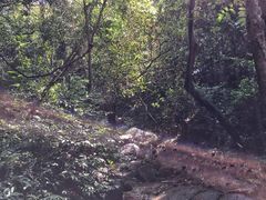 -火炉山森林公园