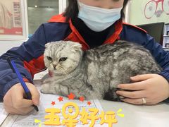 -伟伟宠物医院·CT影像中心·瑞派犬猫综合性门诊(汉口总院)