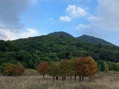 -清溪大王山森林公园