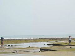 -滴水丹屏
