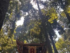 -都江堰普照寺