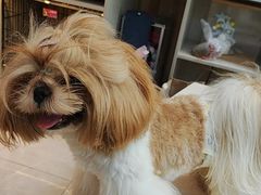 -萌宠主义宠物生活馆(金山路店)