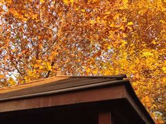 -春晖园度假酒店温泉