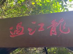 -亚龙湾热带天堂森林公园