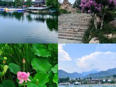 -泰山风景名胜区-虎山公园