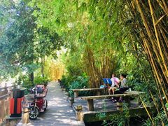 -成都市活水公园