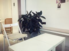 大堂-CAKE WANG千层制造所(省府店)