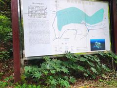 -潜山国家森林公园