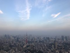 -六本木新城展望台(东京城市景观)