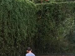 -东方启明星篮球培训(天坛校区)