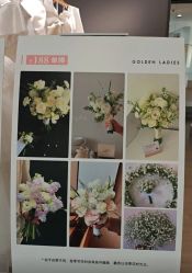 -金夫人婚纱摄影(总店)