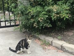 -江南大学(蠡湖校区)