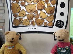 -济州岛泰迪熊博物馆