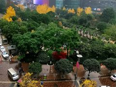 -皇轩大饭店(观音桥店)