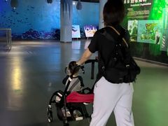 -泉城欧乐堡海洋极地世界