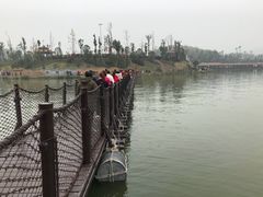 -枫香湖儿童公园