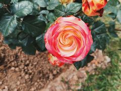 -人民公园(罗湖区)