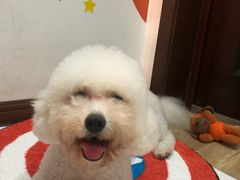 -瑞鹏宠物医院·宠保定点·心脏科·内科(御桥分院)