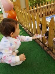 -萌宠亲子动物乐园(槐房万达店)