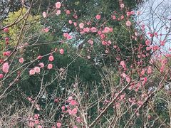 -赭山公园