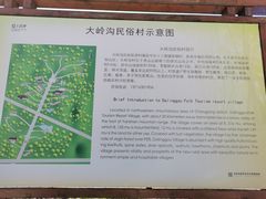 -大岭沟猕猴桃谷风景区