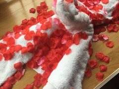 -天津津利华酒店